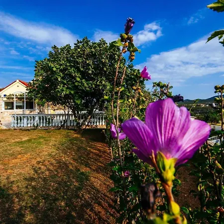 Vila Charming With Private Pool In Dalmatia *